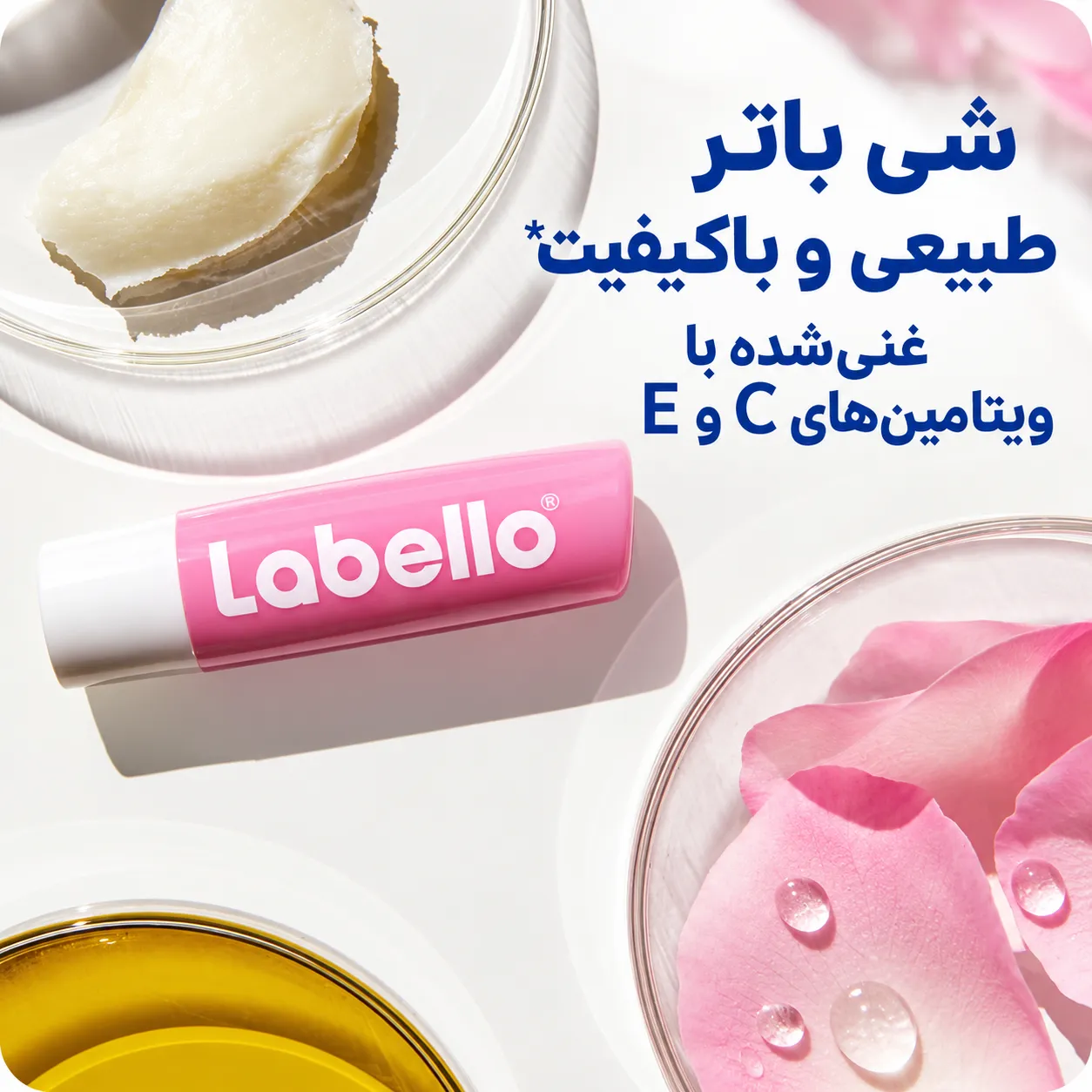 تیوب بالم لب گل رز لبلو در کنار گلبرگ‌های رز و ظرف کره گیاهی، با بسته‌بندی سفید و صورتی